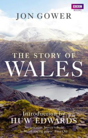 Kniha Story of Wales Jon Gower