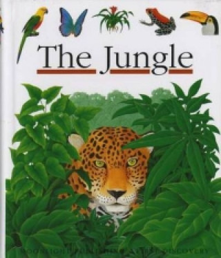 Book Jungle 