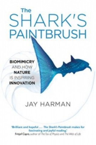 Carte Shark's Paintbrush Jay Harman