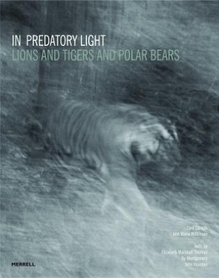 Könyv In Predatory Light Cyril Christo