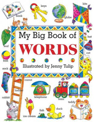 Carte My Big Book of Words Isobel Clark