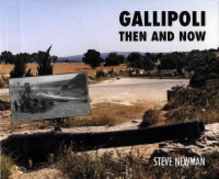 Kniha Gallipoli Steve Newman