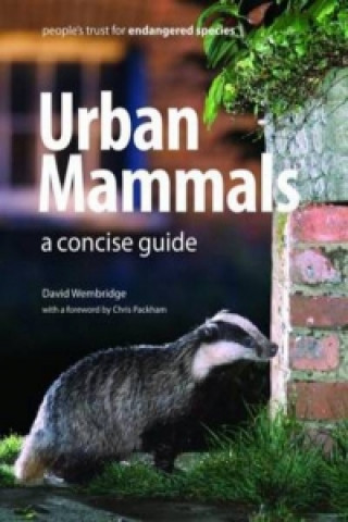 Kniha Urban Mammals David Wembridge