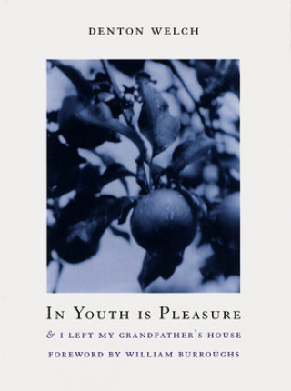 Carte In Youth is Pleasure Denton Welch
