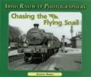 Book Chasing the Flying Snail Anthony Burges