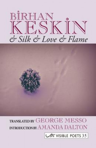 Kniha And Silk and Love and Flame Birhan Keskin