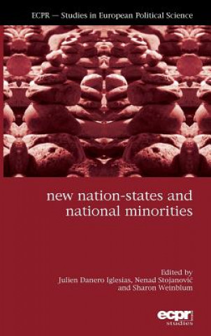 Buch New Nation-States and National Minorities Julien Danero Iglesias