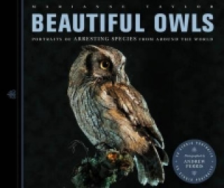 Könyv Beautiful Owls Marianne Taylor