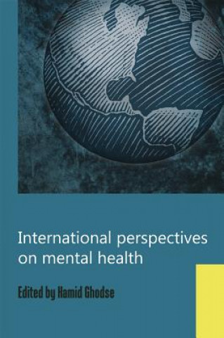 Kniha International Perspectives on Mental Health 