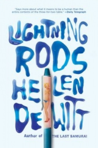 Buch Lightning Rods Helen Dewitt