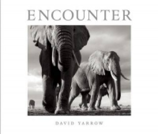 Kniha Encounter David Yarrow