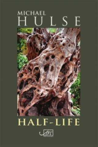 Kniha Half-Life Michael Hulse