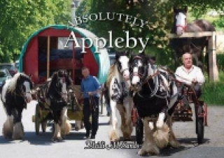 Book Absolutely Appleby Heidi M Sands