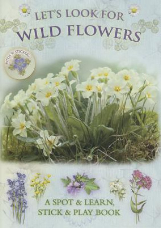 Carte Let's Look for Wild Flowers Andrea Pinnington