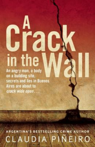 Buch Crack in the Wall Claudia Pineiro