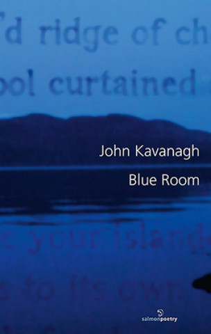 Książka Blue Room John Kavanagh