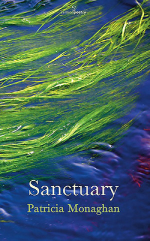 Kniha Sanctuary Patricia Monaghan