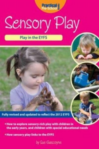 Kniha Sensory Play Sue Gascoyne