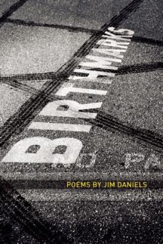 Kniha Birth Marks Jim Daniels
