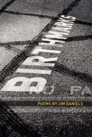 Buch Birth Marks Jim Daniels