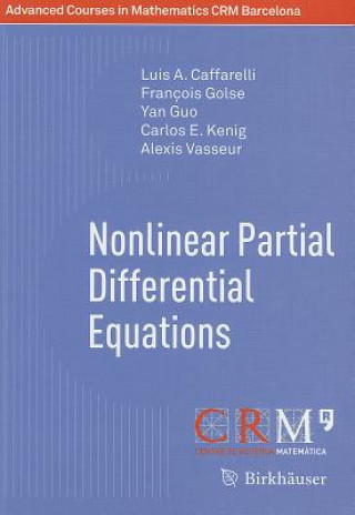 Kniha Nonlinear Partial Differential Equations Luis A. Caffarelli