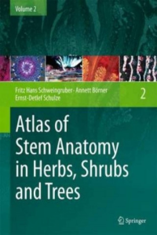 Kniha Atlas of Stem Anatomy in Herbs, Shrubs and Trees Fritz Hans Schweingruber