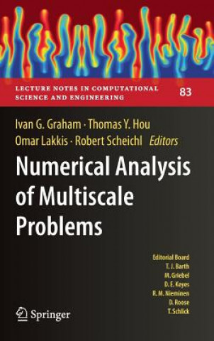 Libro Numerical Analysis of Multiscale Problems Ivan G Graham