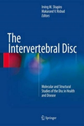 Kniha Intervertebral Disc Irving M. Shapiro