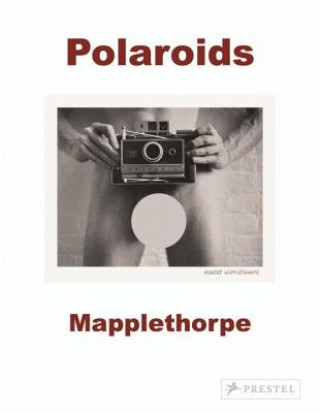 Book Robert Mapplethorpe Sylvia Wolf