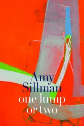 Könyv Amy Sillman Helen Molesworth