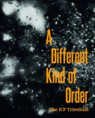 Kniha Different Kind of Order Joanna Lehan