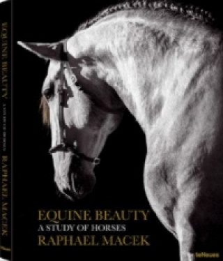 Kniha Equine Beauty Raphael Macek