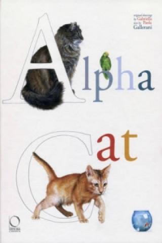 Carte Alpha Cat Paola Gallerani