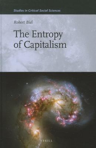 Kniha Entropy of Capitalism Robert Biel