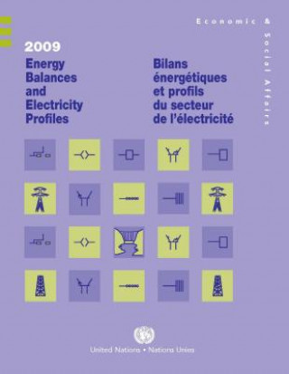 Könyv 2009 energy balances and electricity profiles United Nations