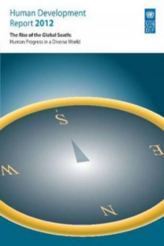 Libro Human development report 2013 United Nations Development Programme