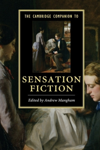 Kniha Cambridge Companion to Sensation Fiction Andrew Scott Mangham
