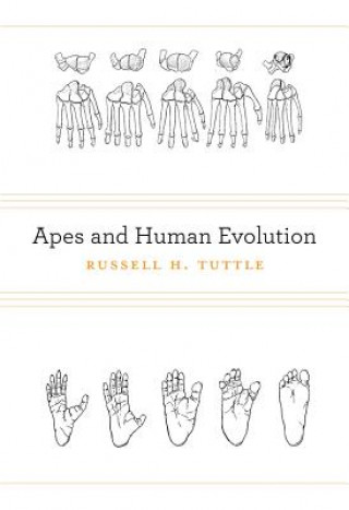 Carte Apes and Human Evolution Russell H Tuttle