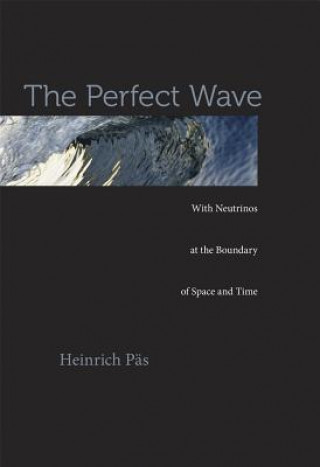 Könyv Perfect Wave Heinrich Päs