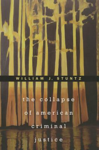 Kniha Collapse of American Criminal Justice William Stuntz