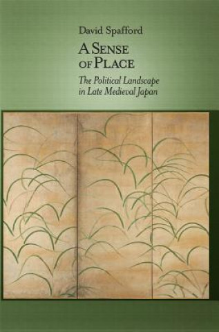 Buch Sense of Place David Spatford