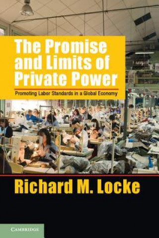 Könyv Promise and Limits of Private Power Richard M Locke
