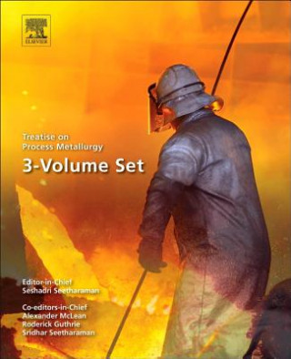 Книга Treatise on Process Metallurgy Seshadri Seetharaman