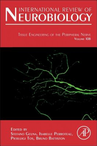 Carte Tissue Engineering of the Peripheral Nerve Stefano Geuna