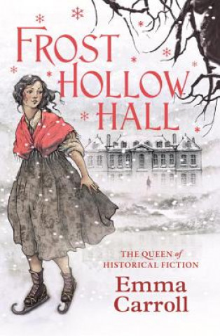 Buch Frost Hollow Hall Emma Carroll