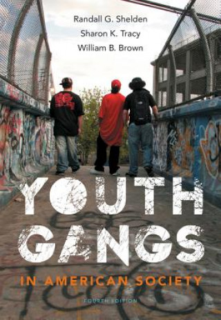 Kniha Youth Gangs in American Society Randall G Shelden