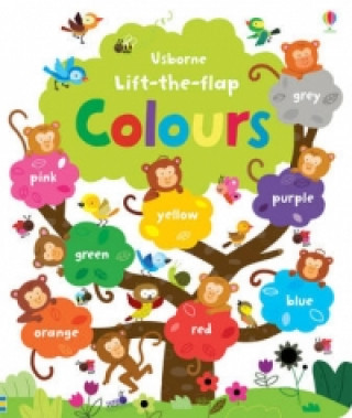 Kniha Lift-the-flap Colours Felicity Brooks