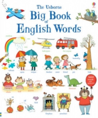 Book Big Book of English Words Mairi Mackinnon