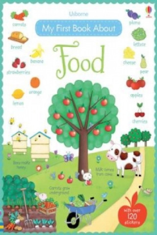 Knjiga My First Book About Food Felicity Brooks