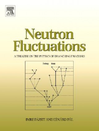 Kniha Neutron Fluctuations Pazsit